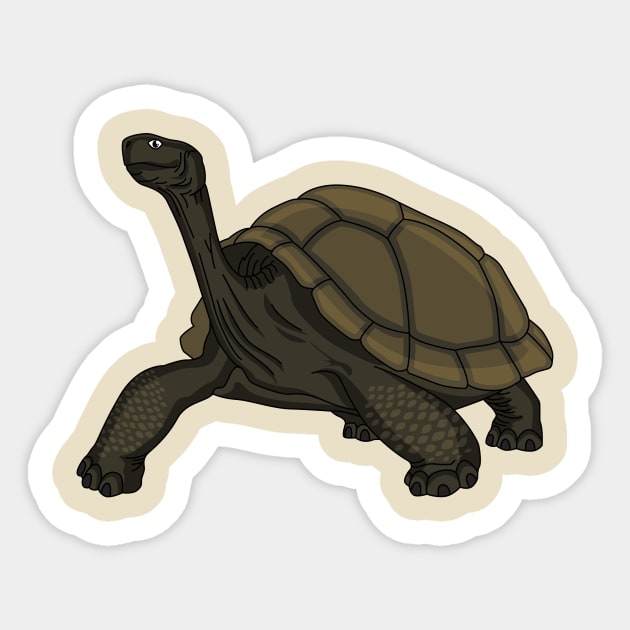 Galapagos land tortoise illustration Sticker by Cartoons of fun